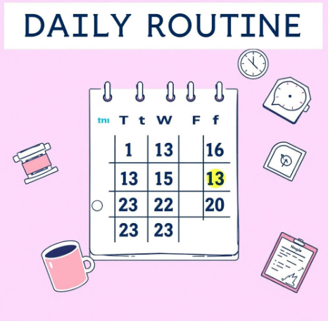 마가보감-침향환-가격-효과-성분-먹는법