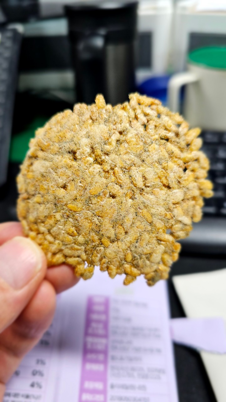 6시내고향 산야초누룽지 구매정보