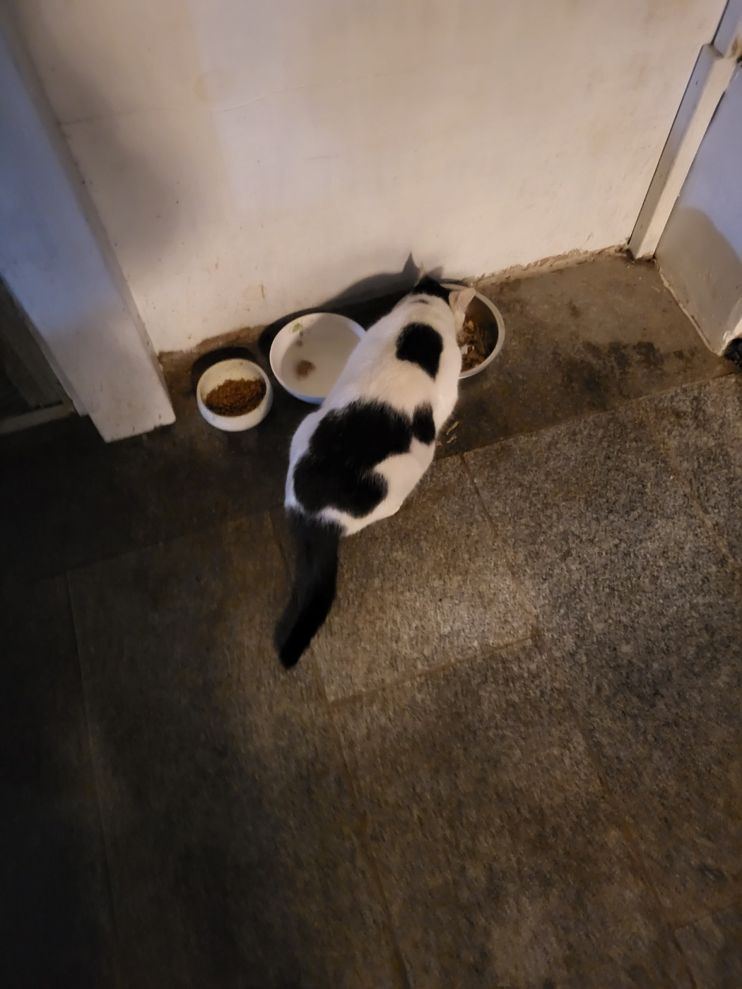 청주 가덕 맛집(흥부네 부뚜막)