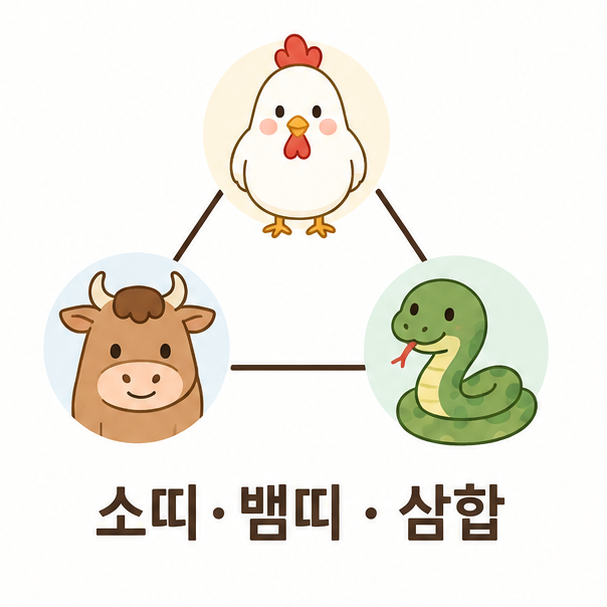 닭띠·소띠·뱀띠를 삼각형으로 연결해 삼합 관계를 설명한 이미지
