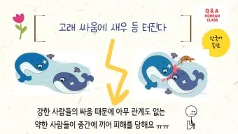 고래 싸움에 새우등 터진다 뜻과 속담 영어 표현 안내집_21
