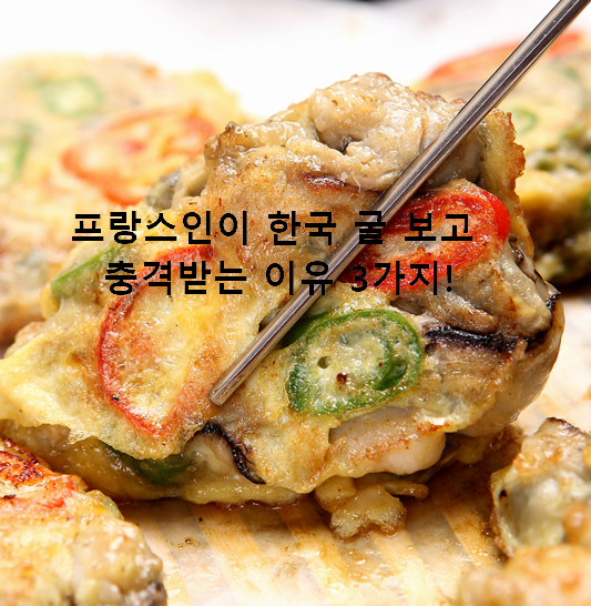 프랑스인이 한국 굴 보고 충격받는 이유 3가지!