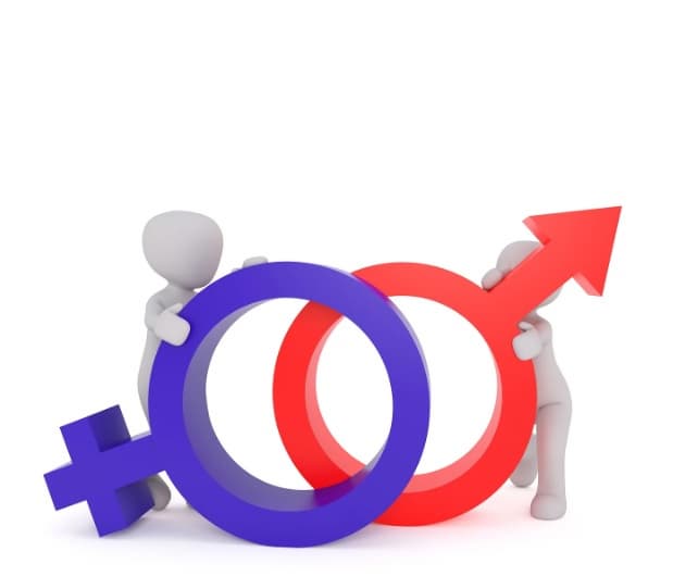 우리 아이 첫 성교육, 언제부터 어떻게 시작할까?