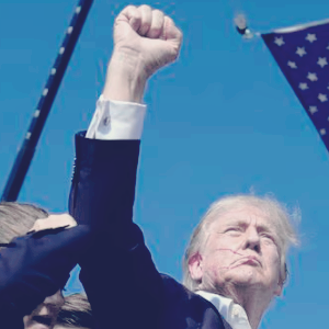 국내 트럼프 관련주 주식 TOP5