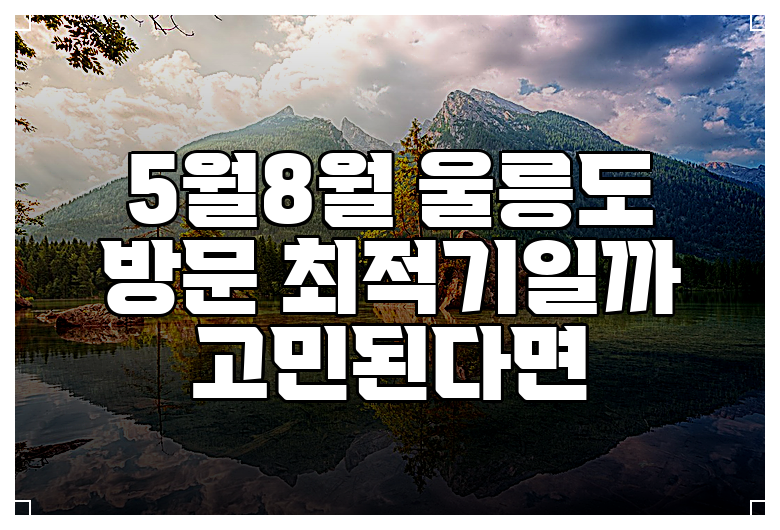 5월8월 울릉도 방문 최적기일까 고민된다면