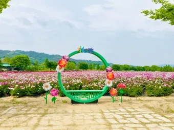 핫들생태공원 합천 산청 진달래축제_3