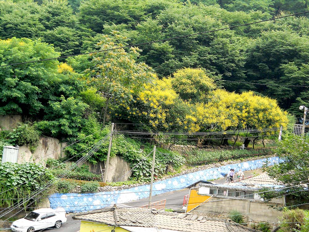 홍제동 개미마을 그림벽화(Painting Mural)