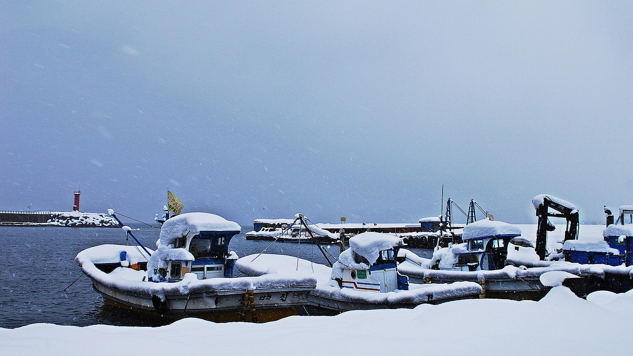대진항 여행 가이드 (숙박, 교통, 식당)에 관련된 사진