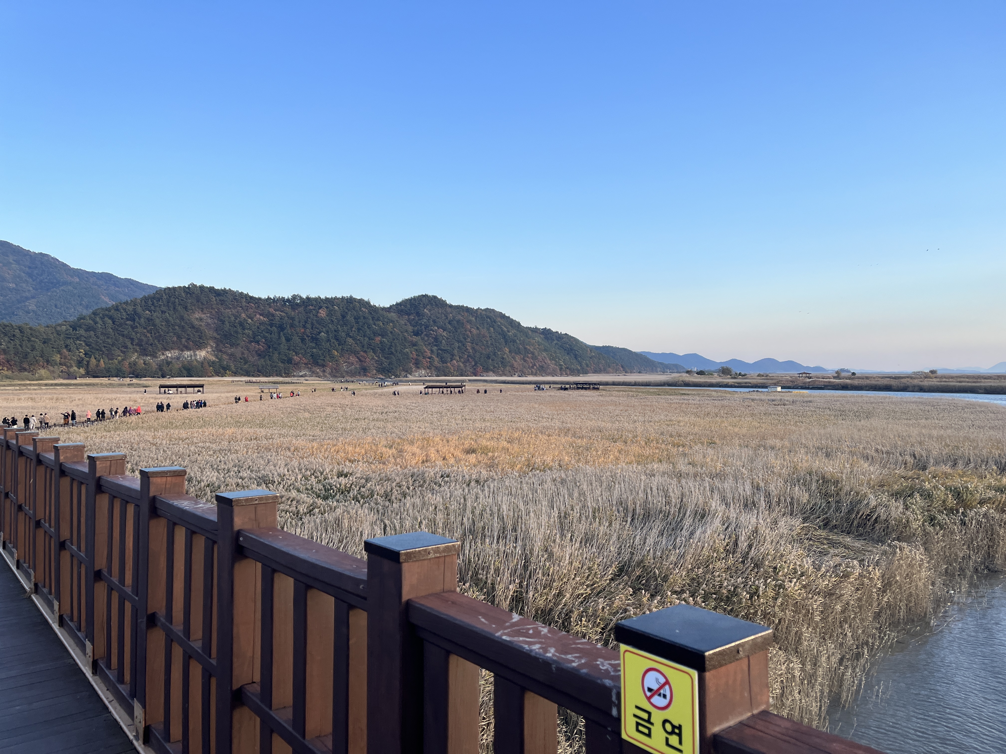 순천 여행 숙소 리조트 추천