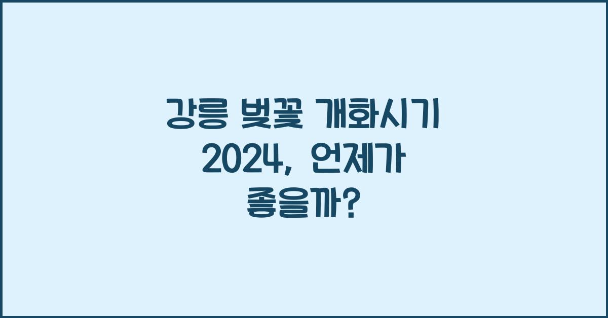 강릉 벚꽃 개화시기 2024