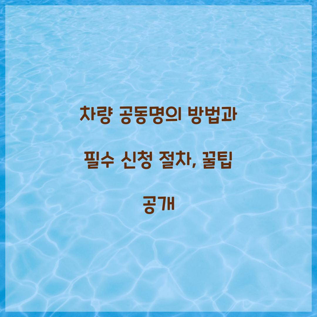 차량 공동명의 방법