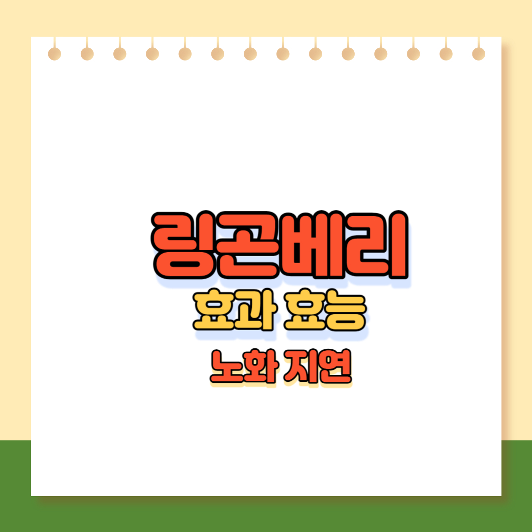 링곤베리 메인