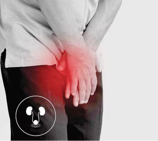 전립선-약-카리토포텐