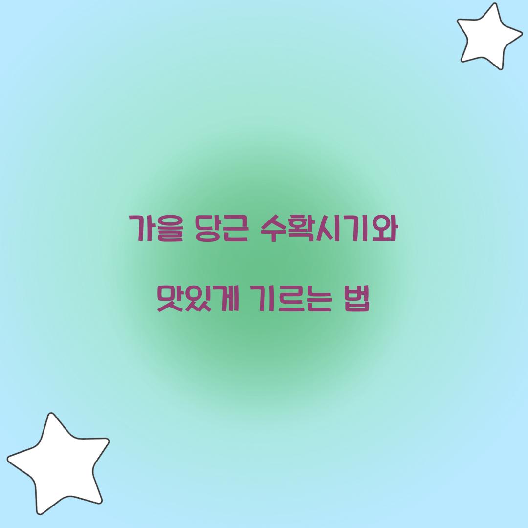 가을 당근 수확시기