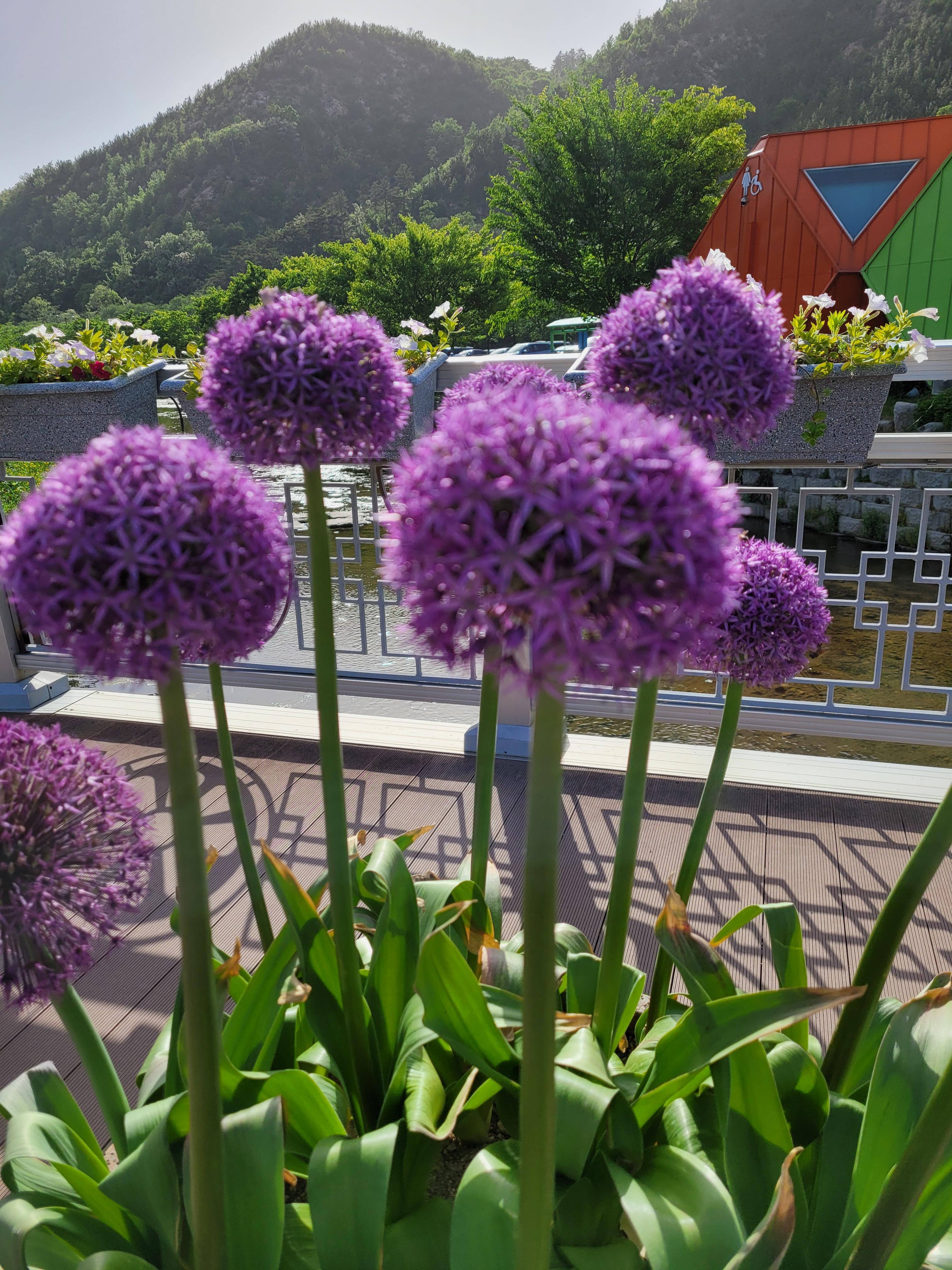 토지 투자 개발 예정지 투자 시 반드시 확인해야 할 행정 절차와 리스크