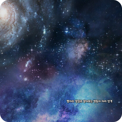 생일 별자리로 알아보는 쌍둥이자리 성격