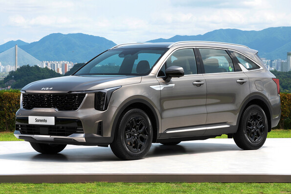 2025년 한국 자동차 판매순위