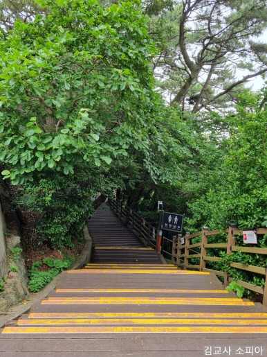 부산 태종대 폭염 여행 리얼후기🌊 여름 필수템 8가지 추천