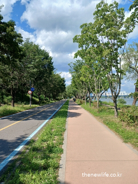 A riverside walking and bike path under a partly cloudy blue sky-구름이 낀 맑은 하늘 아래 펼쳐진 강변 산책로와 자전거 도로