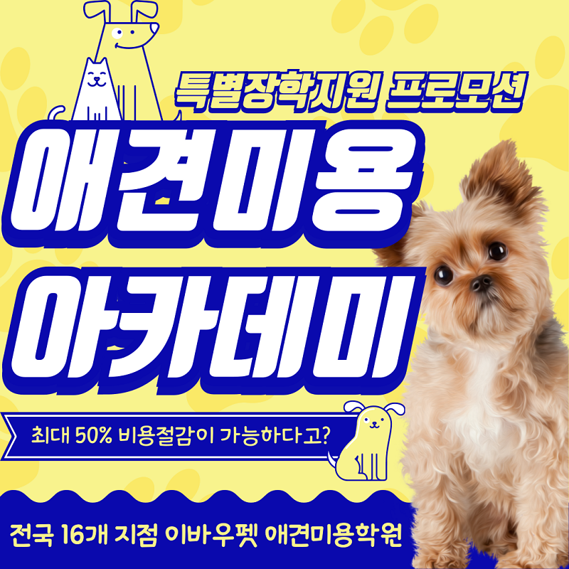 동성로애견미용학원