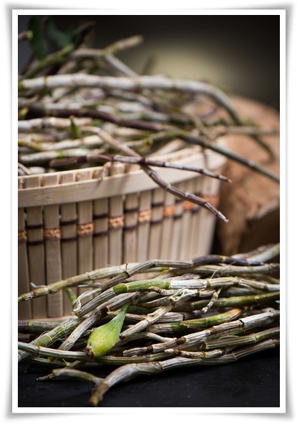 "8 체질" 나는 어떤 체질일까? 체질에 관한 정보를 알려드립니다!