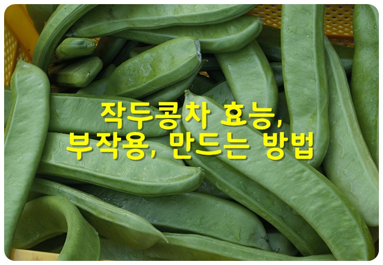 작두콩차 효능, 부작용, 만드는 방법