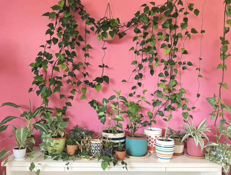 보헤미안 스타일