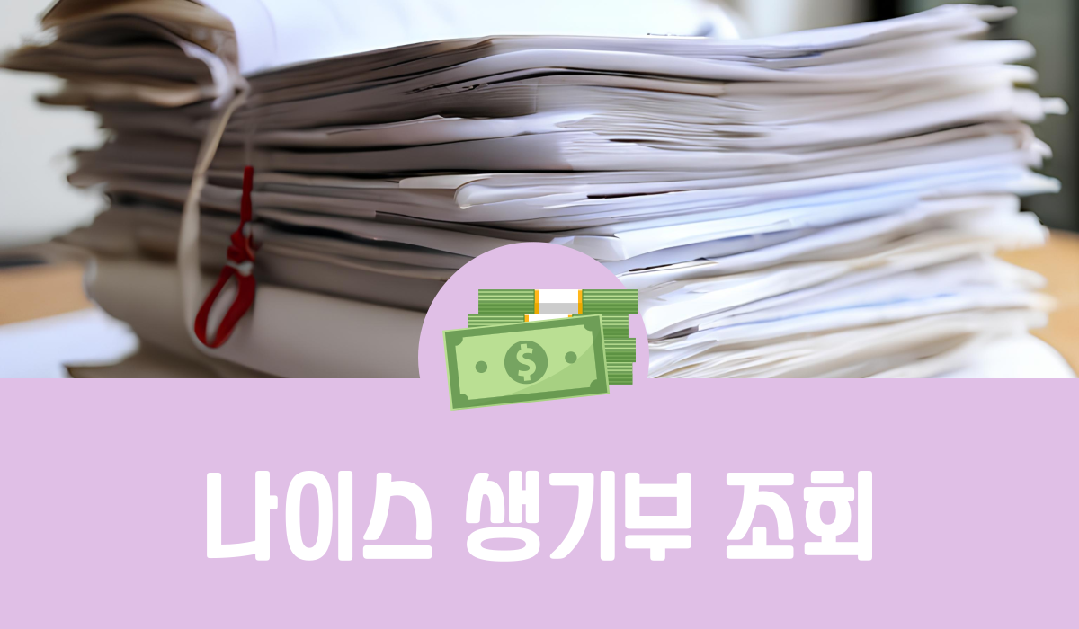 나이스 생기부 조회