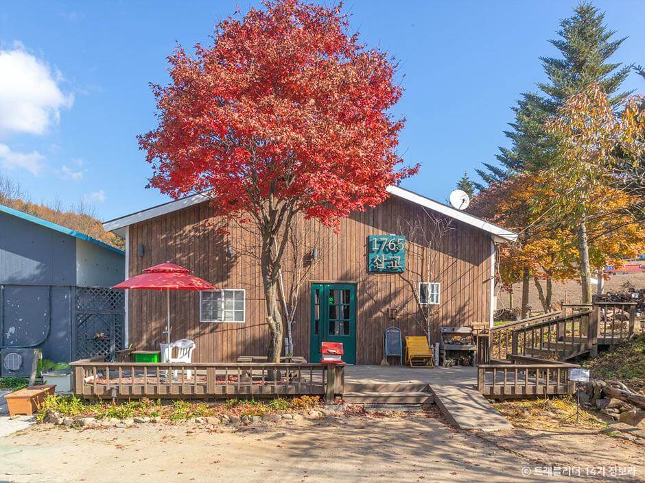 가을 여행지 강원도 단풍 구경 추천 장소