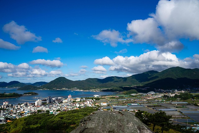 암치료제 관련주, 항암제 관련주 TOP8