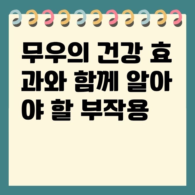 무우의 건강 효과와 함께 알아야 할 부작용