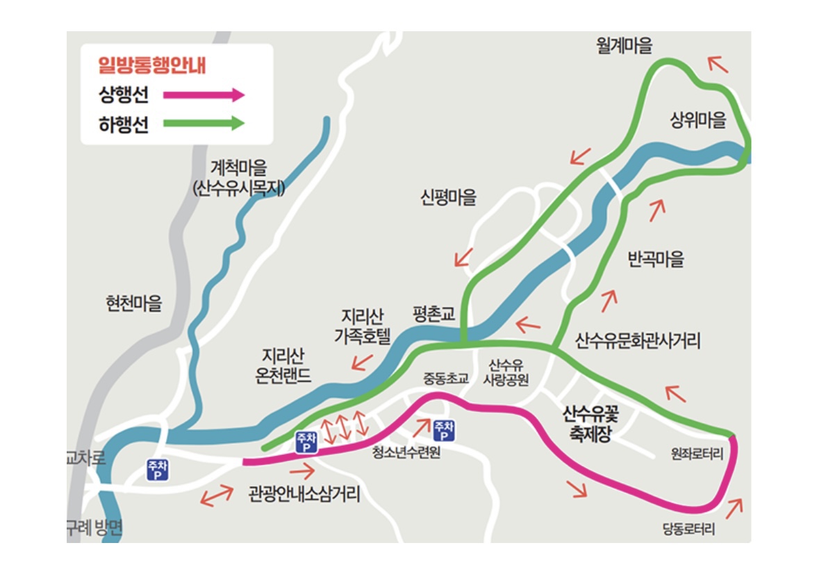 구례 산수유축제