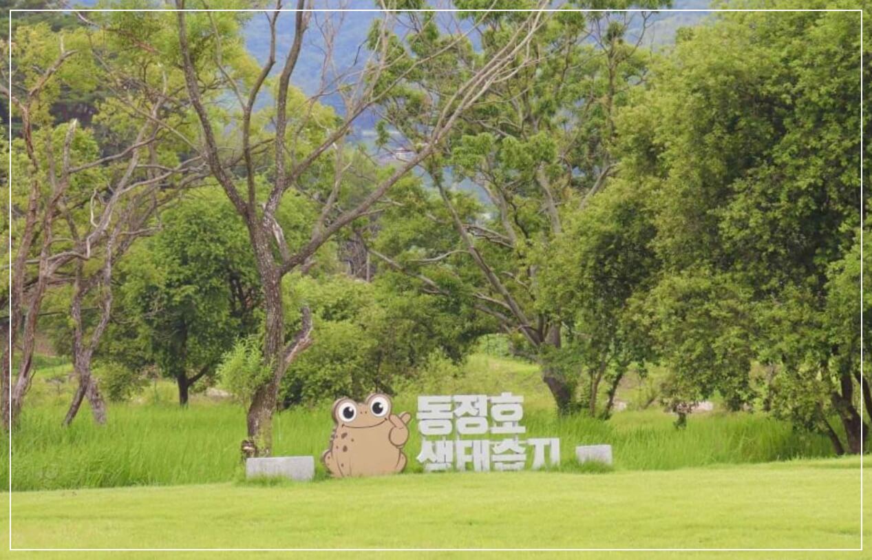 하동 가볼만한곳 베스트10 동정호