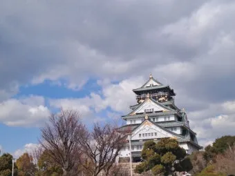 일본 여행 필수 실용 팁 면세 환급 현지 교통패스 모바일 결제 완벽 총정리_14