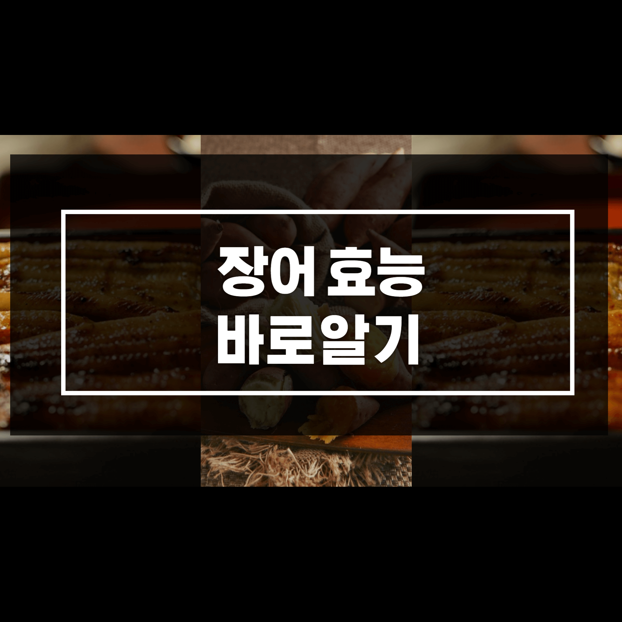 장어 효능 부작용