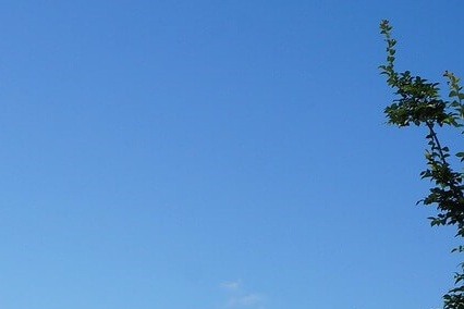 대입 수시 정시 일정