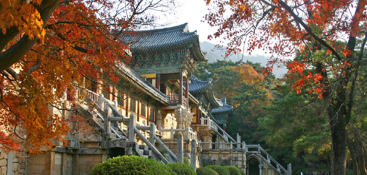 1박 2일 단풍 여행 BEST 5 -설악산,오대산, 불국사, 남이섬, 내장산
