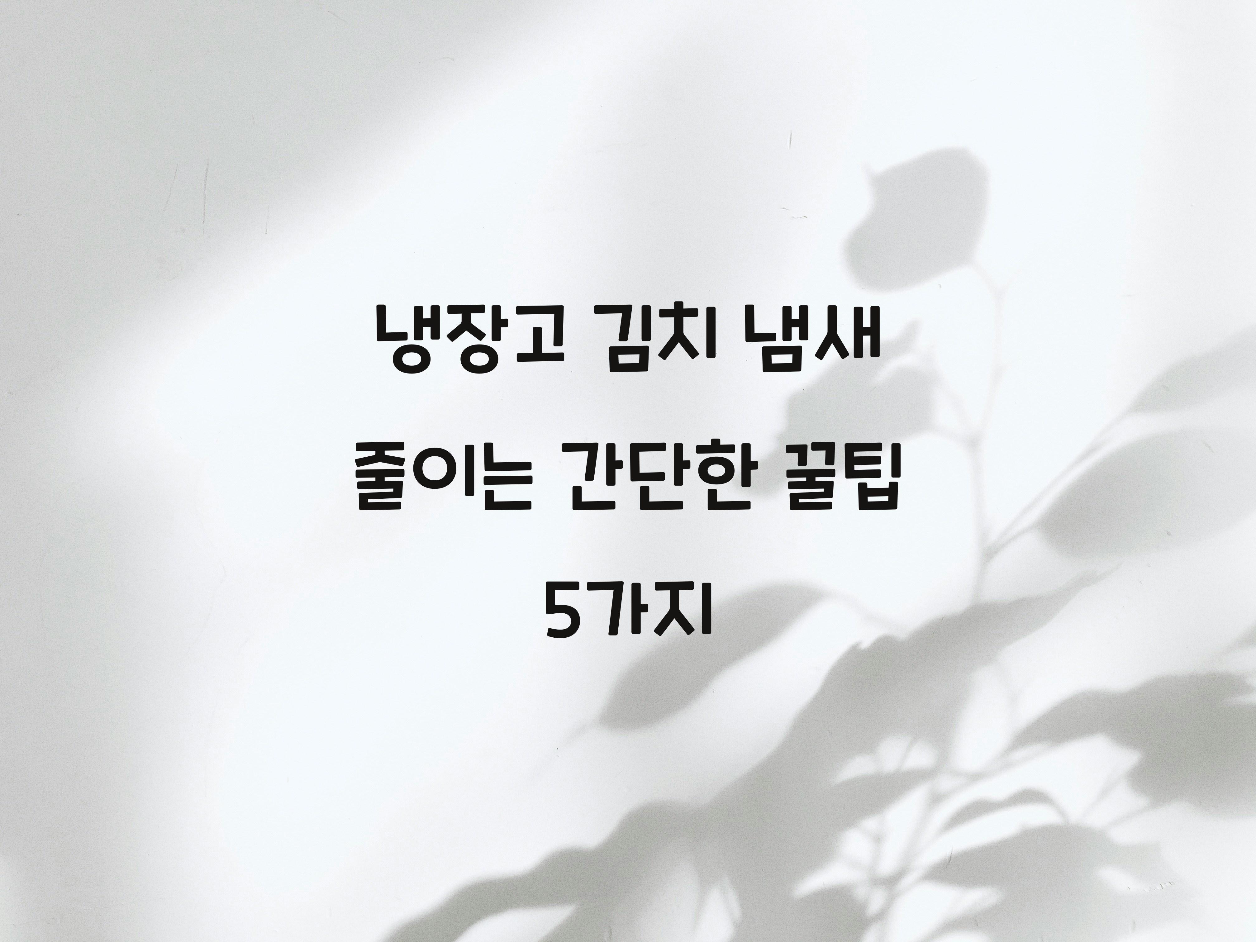 냉장고 김치 냄새 줄이는 간단한 방법