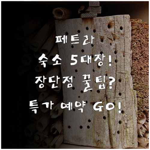 페트라 숙소 5대장 게스트하우스 문 ..