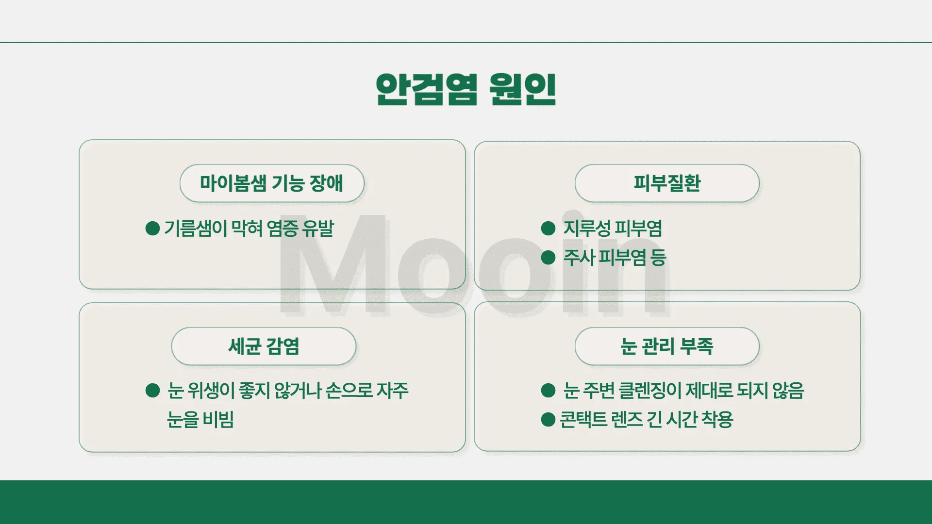 안검염 원인