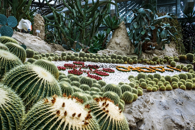 제주도 가볼만한곳 10곳