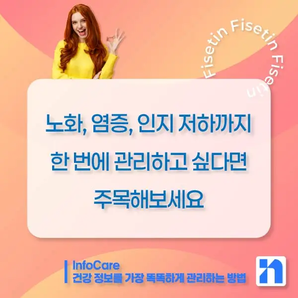 피세틴 효능 항산화 저속노화 노화방지 세놀리틱