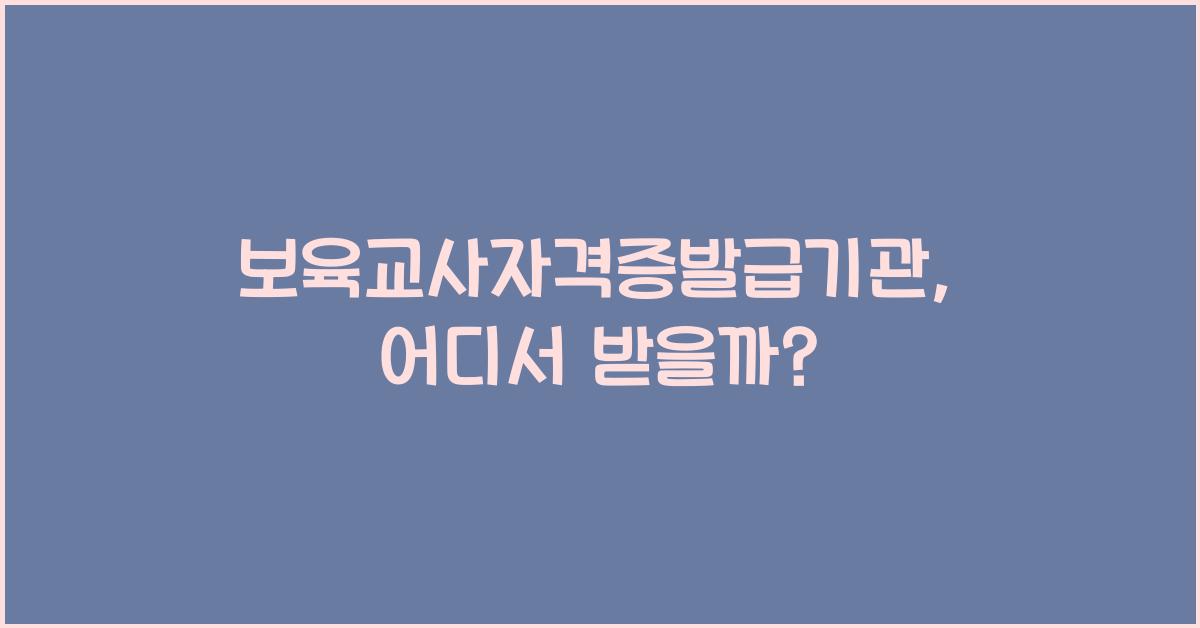 보육교사자격증발급기관