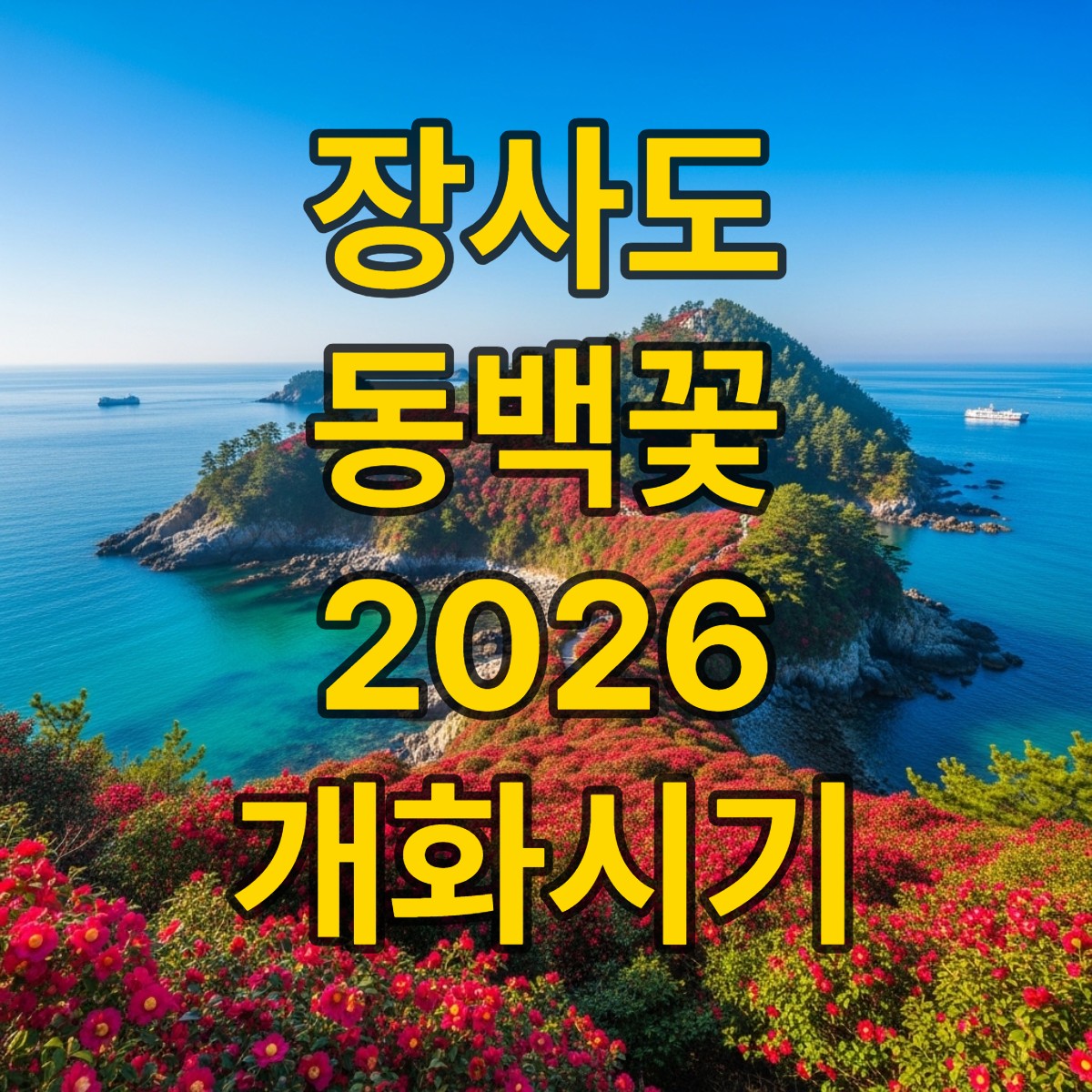 장사도 동백꽃 개화시기