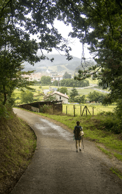  여권 재발급 온라인 신청 정부24