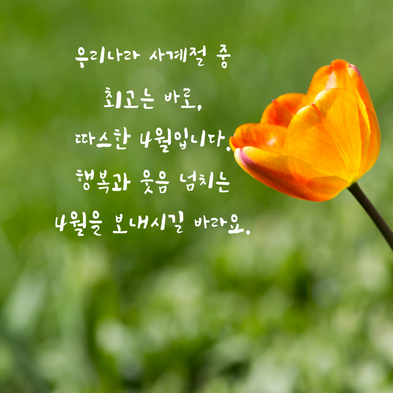 4월 인사말 문구 이미지 모음집