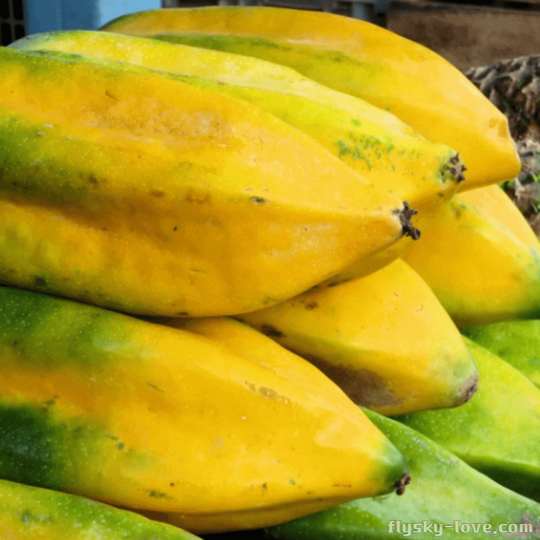 열대과일 바바코(Babaco) 효능