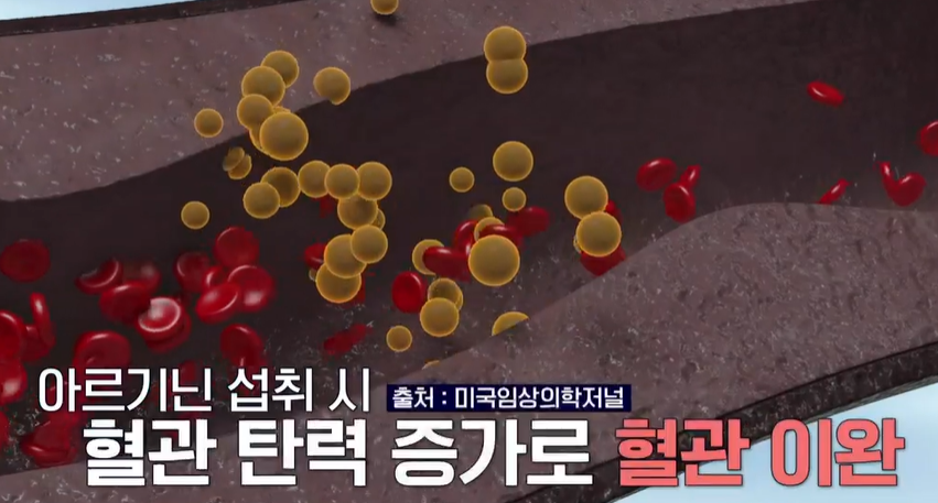 아르기닌의 효능 