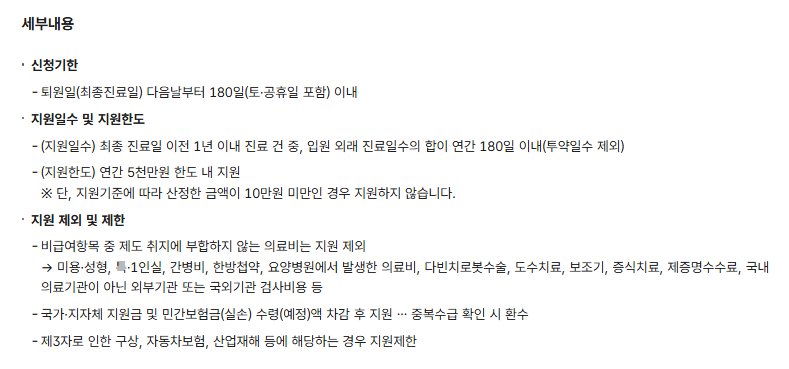 재난적의료비지원사업