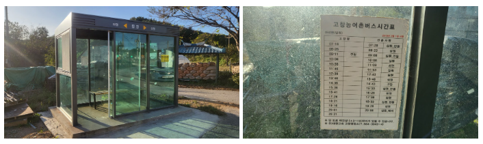 핑크뮬리축제장 대중교통 이용